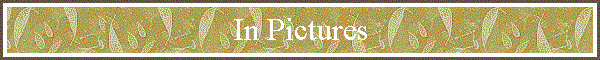 In Pictures