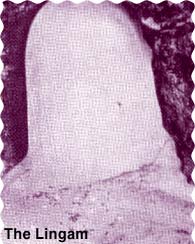Lingam