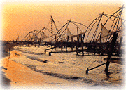 Chinese nets, Cochin