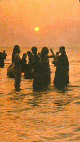 Dhanushkodi